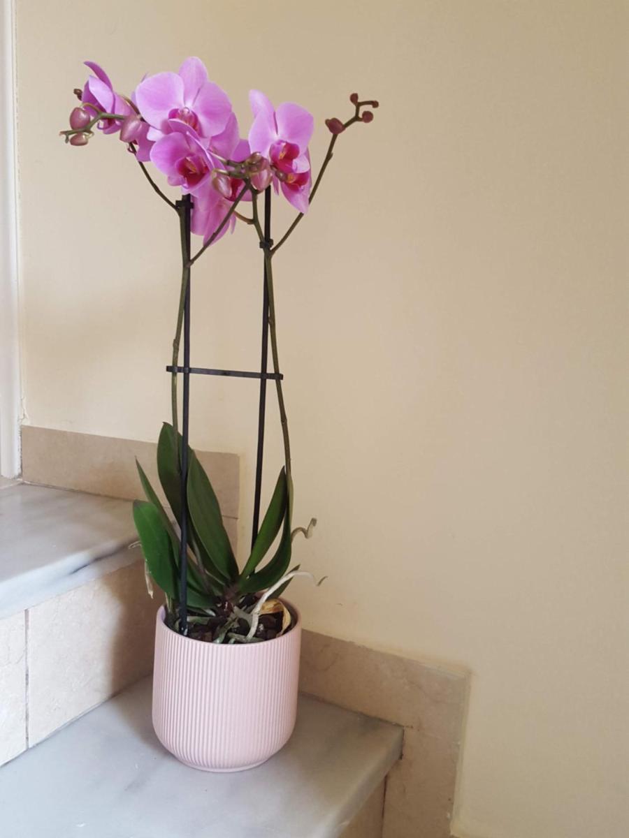 LikeHomeFor2, Athens, Near Metro & Acropolis - Housity