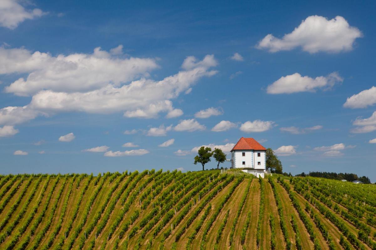Wine Grower's Mansion Zlati Gric - Housity