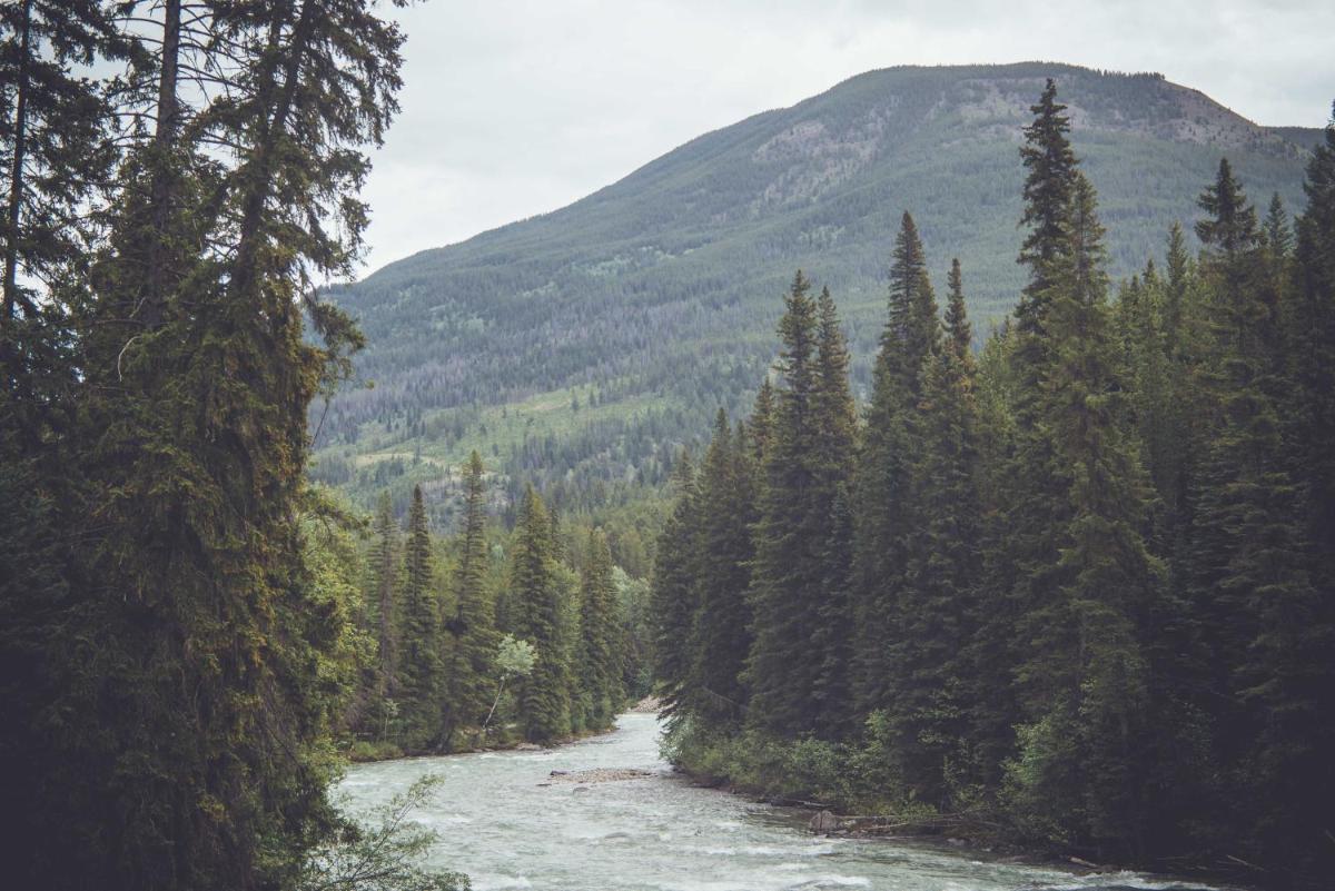 Panorama Vacation Retreat at Horsethief Lodge - Housity