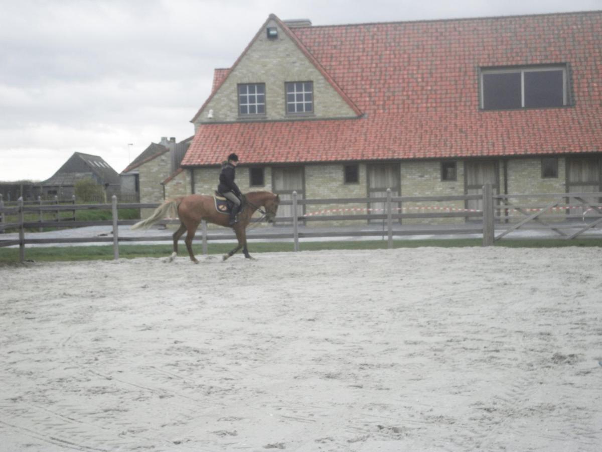 House Zoute Stables 125sqm in 5 Ha property near seaside in Knokke - Housity