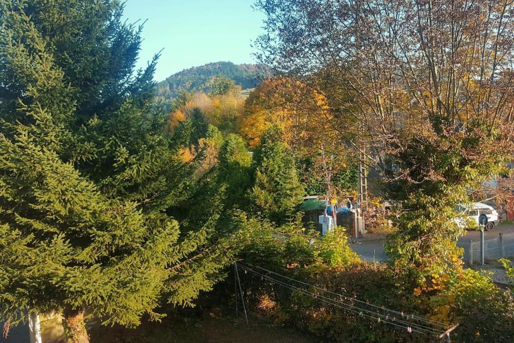 Appartement Charlannes - Housity