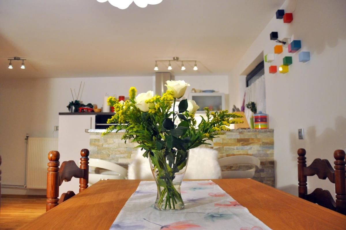 Apartment Vodnik - Housity