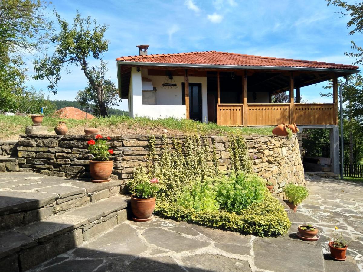 Milla Guest House - Housity
