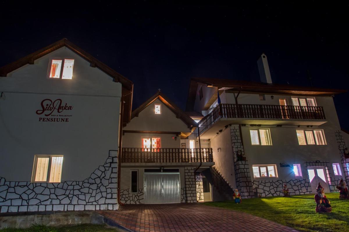 Pensiunea SilvAnka - Housity