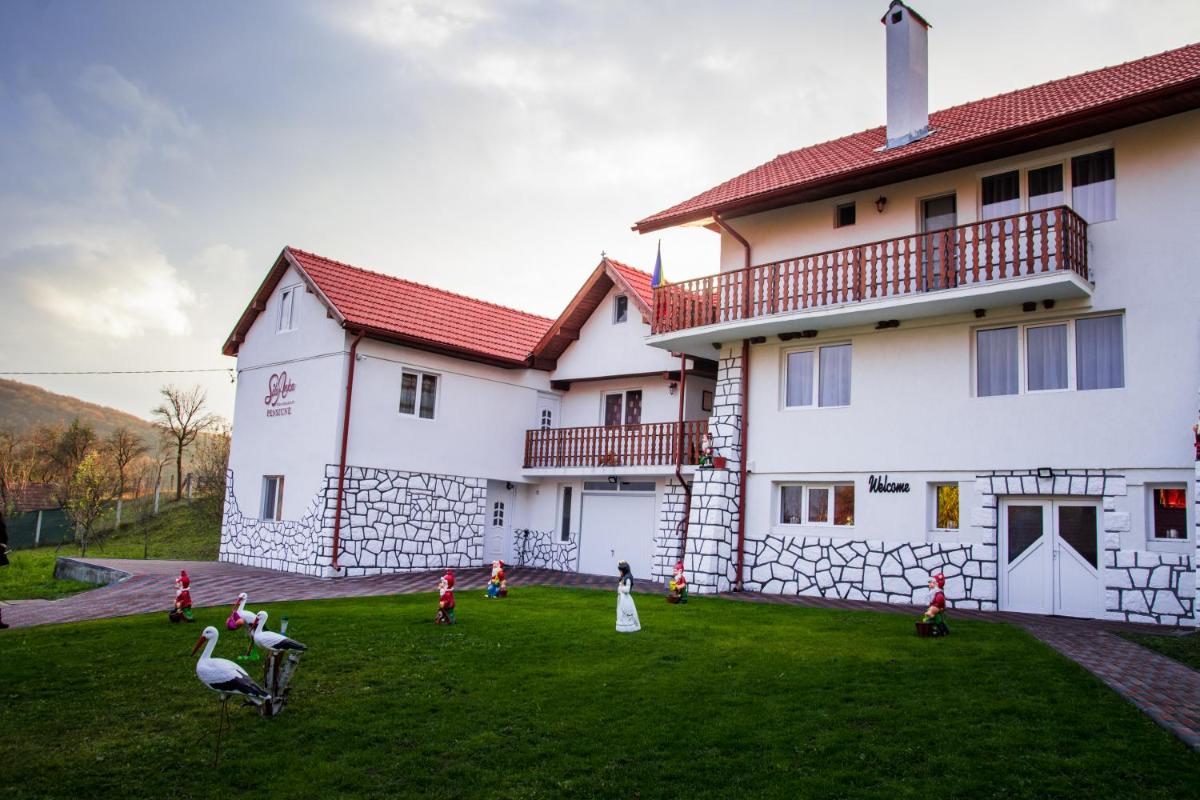 Pensiunea SilvAnka - Housity