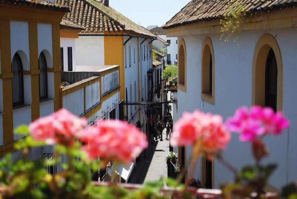 Suitetrails - Casa con encanto junto Mezquita
