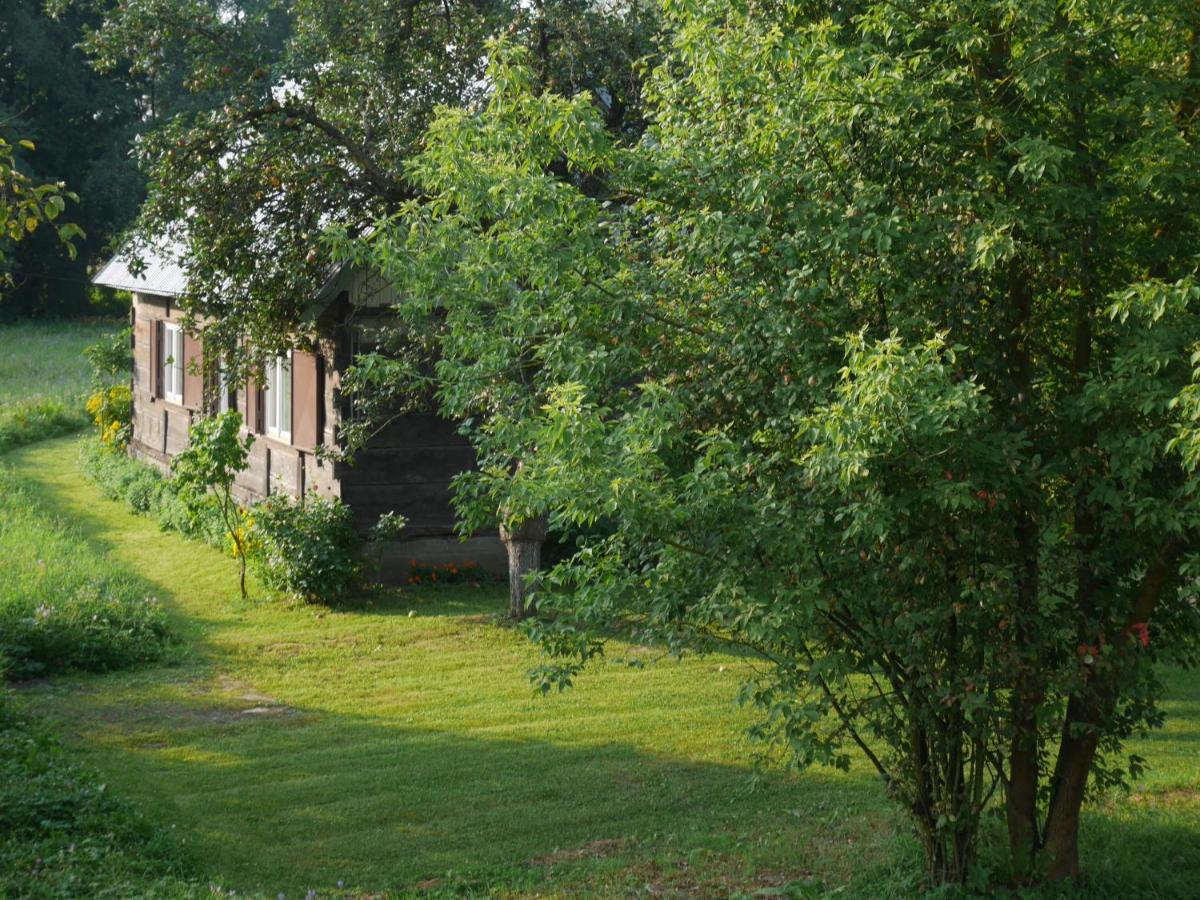 Dom między Wisłą a Kampinosem - Housity
