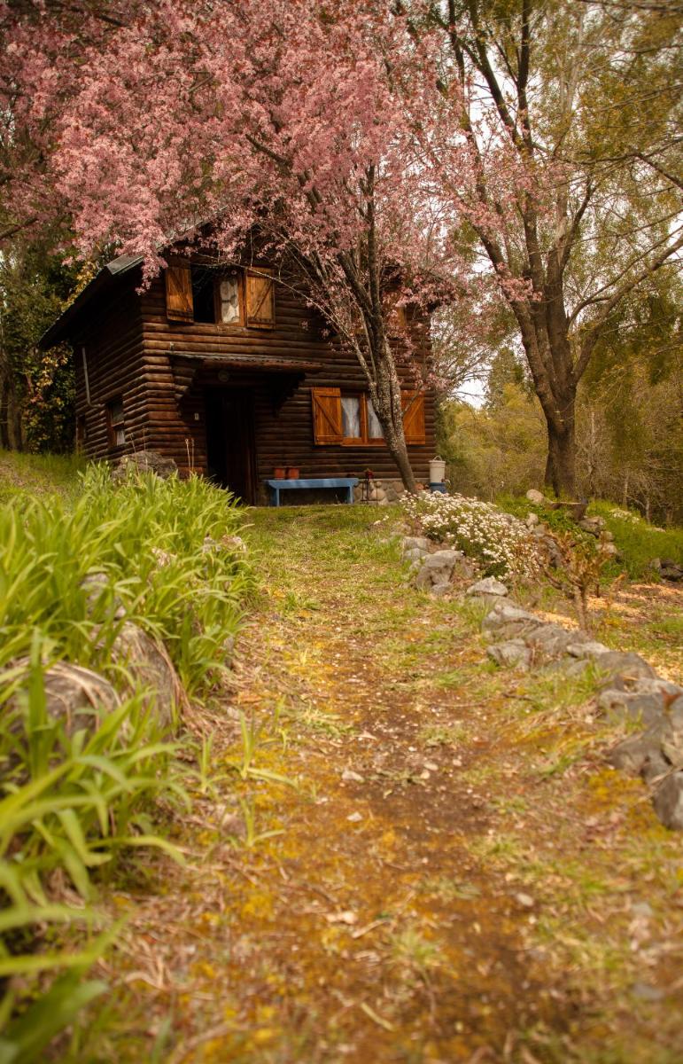 Cabaña El Metejon - Housity