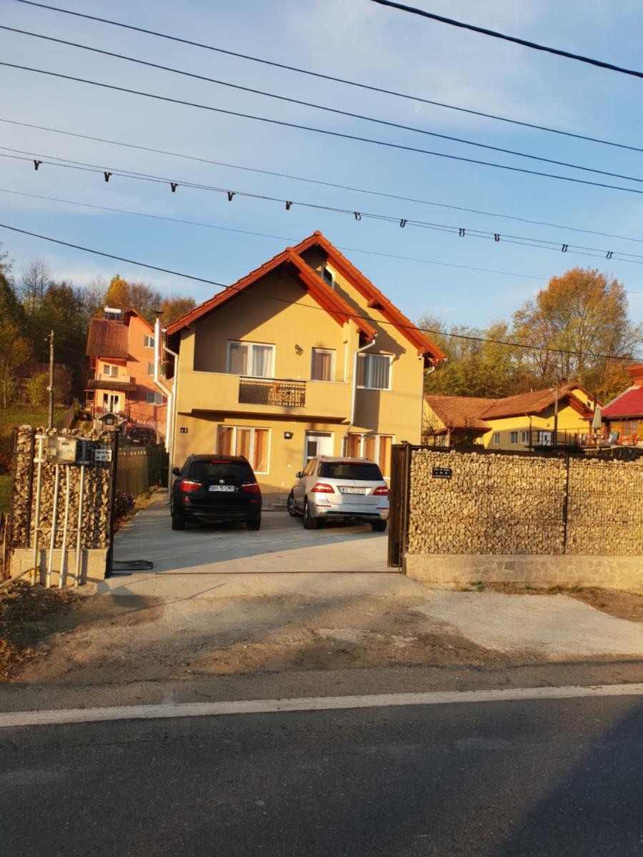 Steluța - Housity