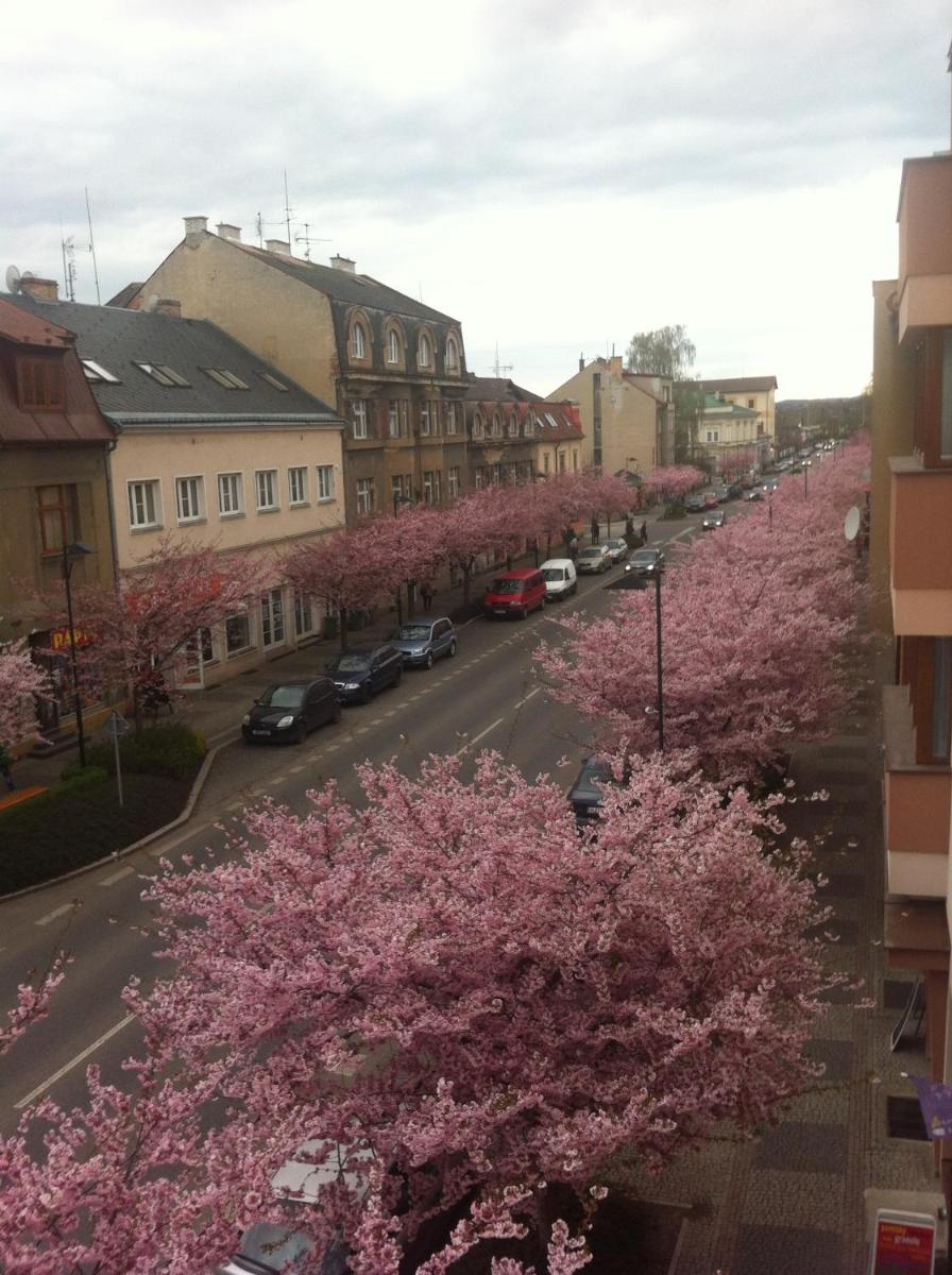 Apartmán Turnov - Český ráj - Housity