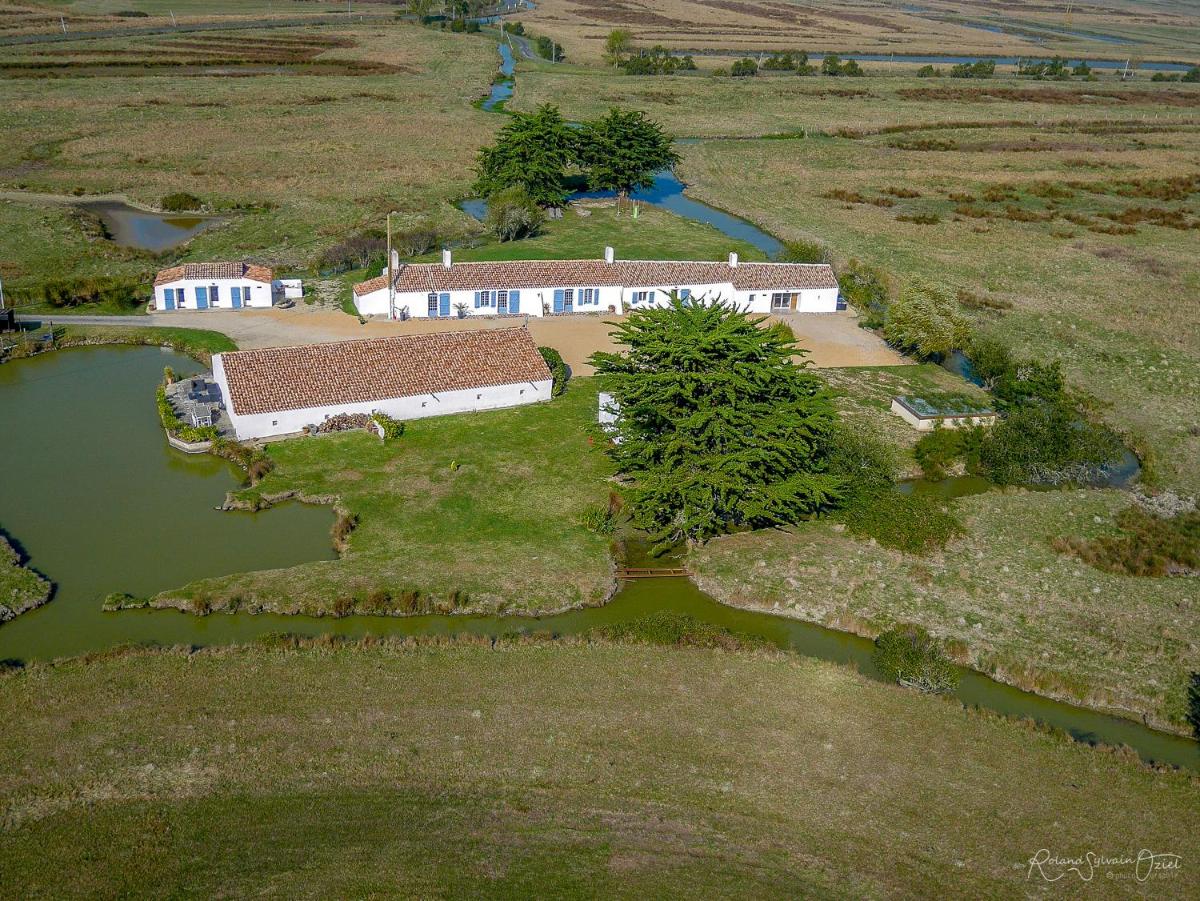 Gites De La Grande Borderie - Housity