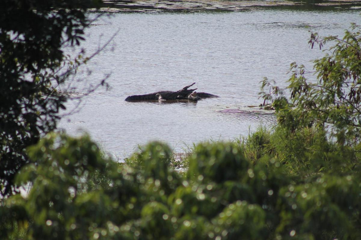 Orchards Farm Cottages - Housity