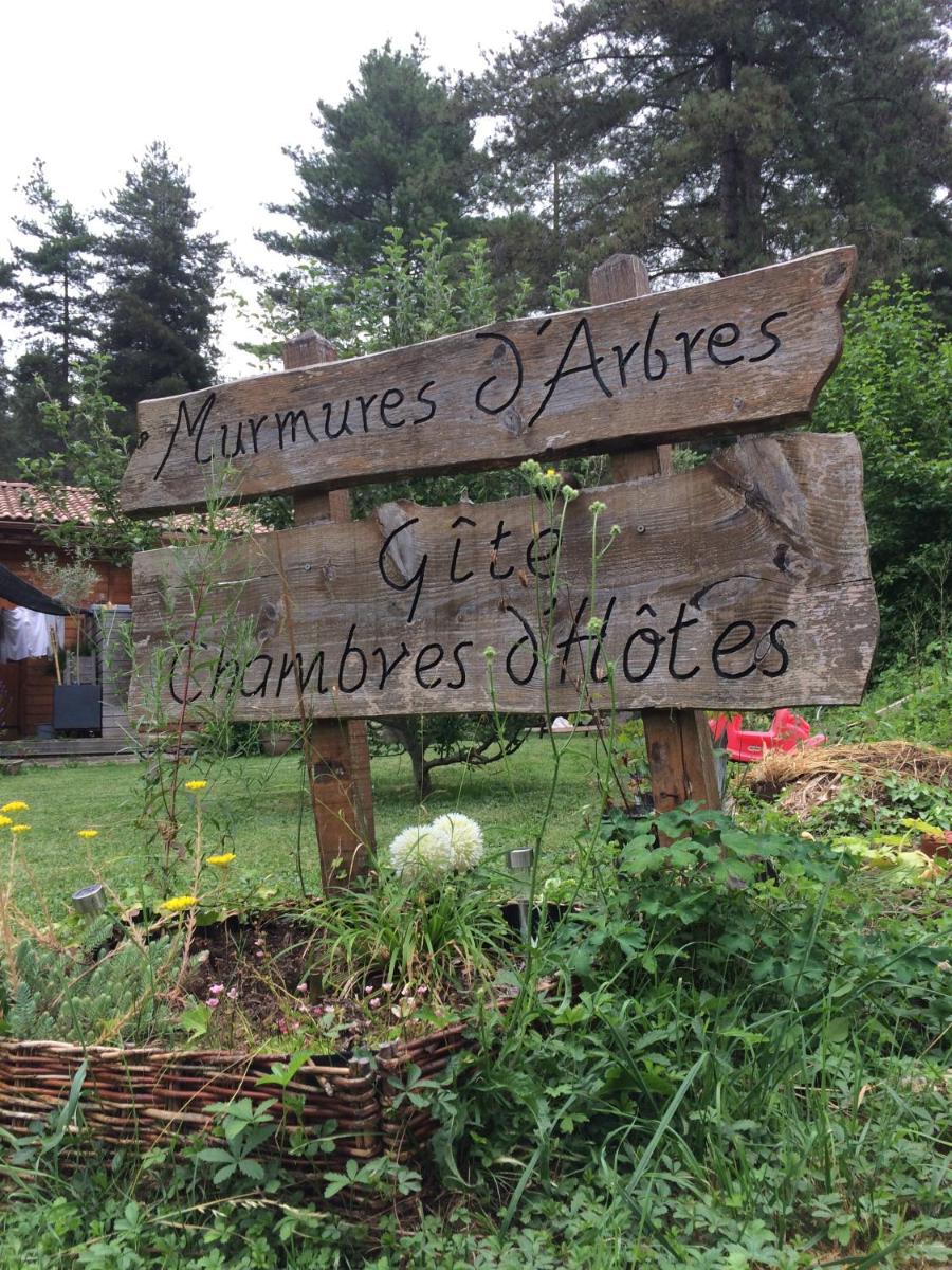 Murmures d'Arbres - Housity