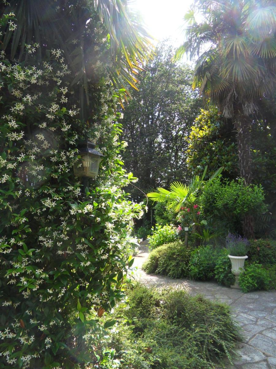 Cuore Verde - Housity