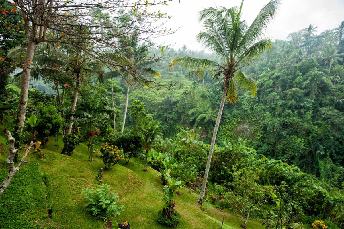 Beji Ubud Resort - Housity