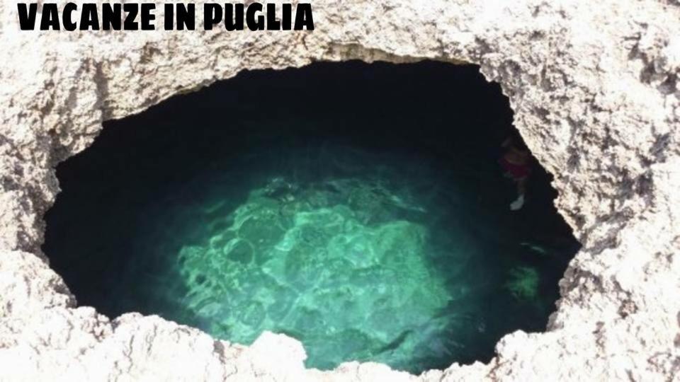 Isola Verde Agriturismo - Housity