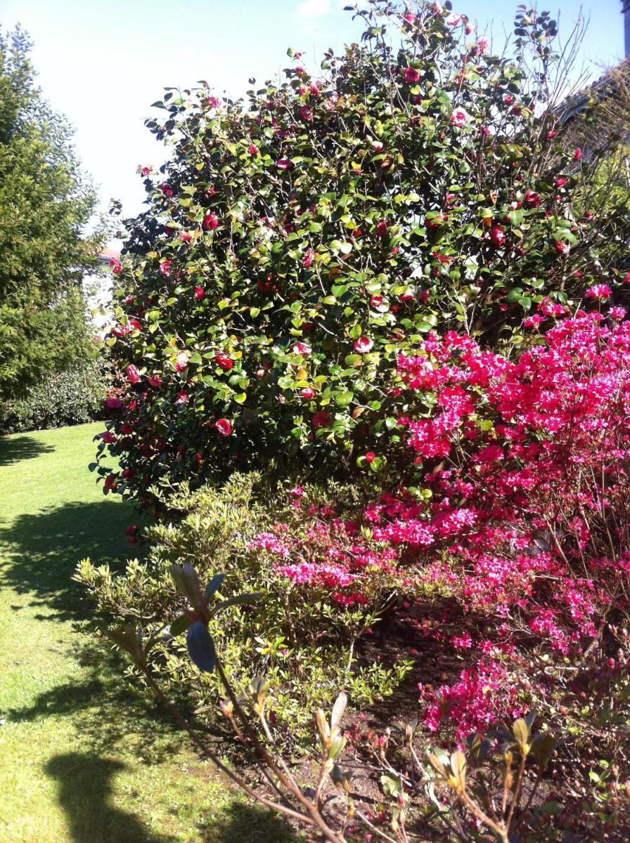 T1 ou T2 dans villa avec jardin proche Biarritz - Housity