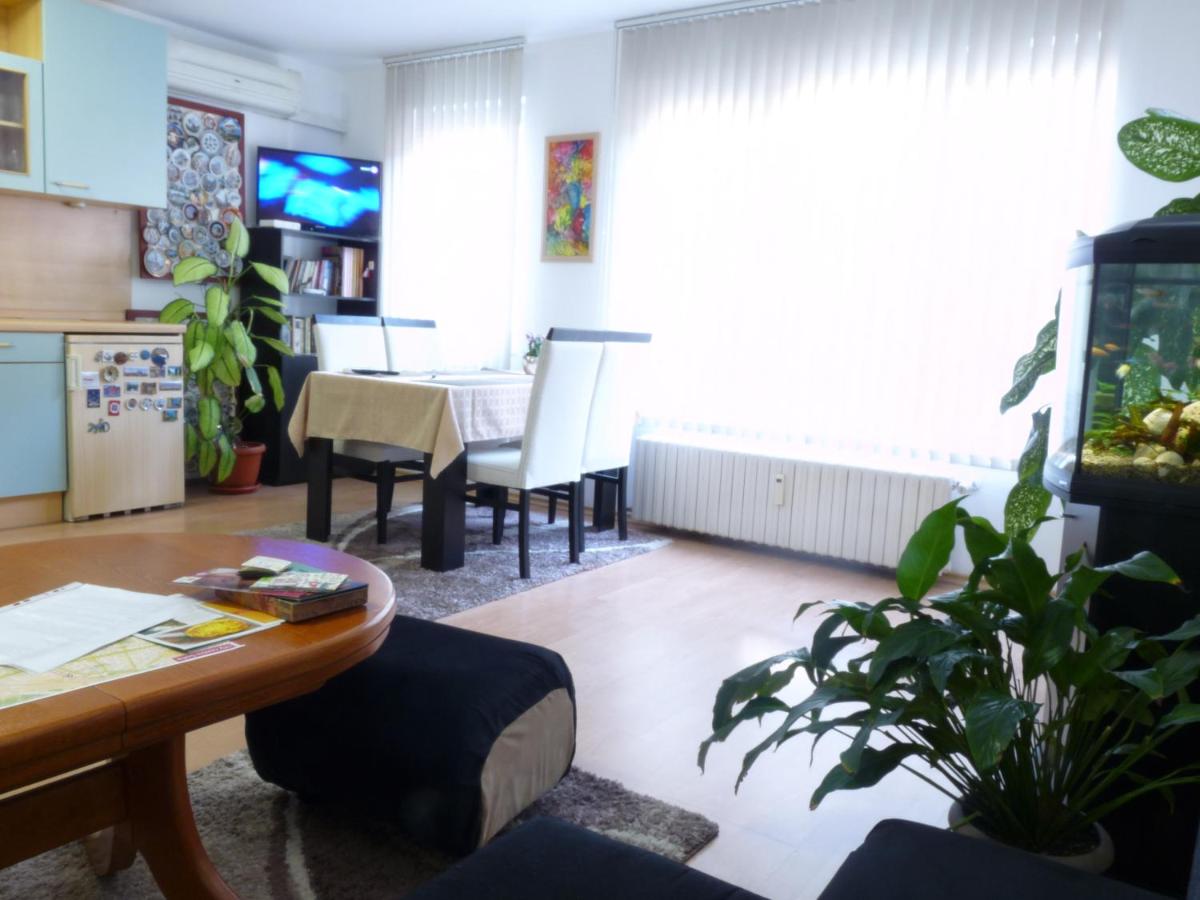Art31 - Housity