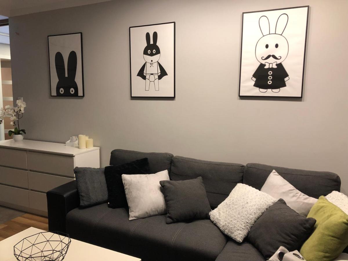 Family & Business Elegant Apartments Rynek Centrum Downtown - 2 Bedroom, Balcony, Parking - Housity