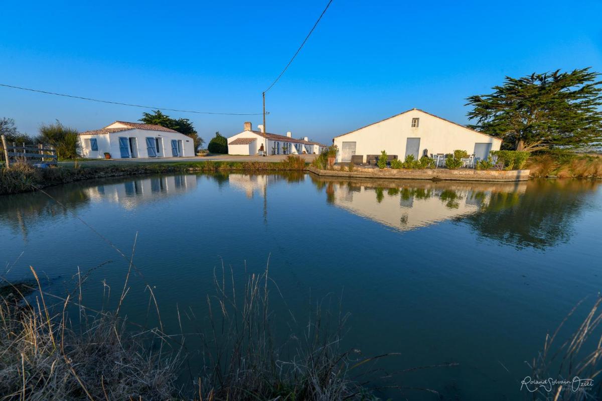 Gites De La Grande Borderie - Housity