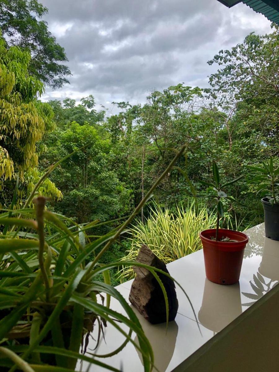 San Rafael Ecolodge - Housity