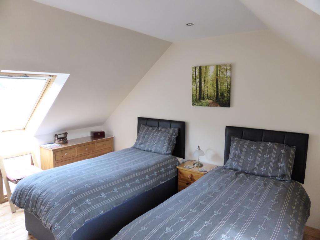 Clifton Cottage B&B - Housity