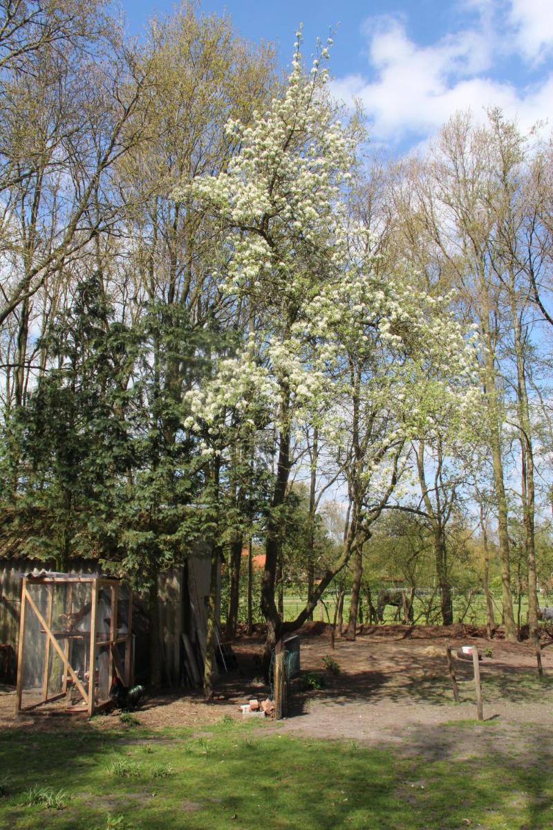 B&B In de Backerije - Housity