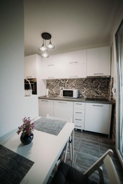 Modern apartment (50m2) in the center of Novi Sad - Housity