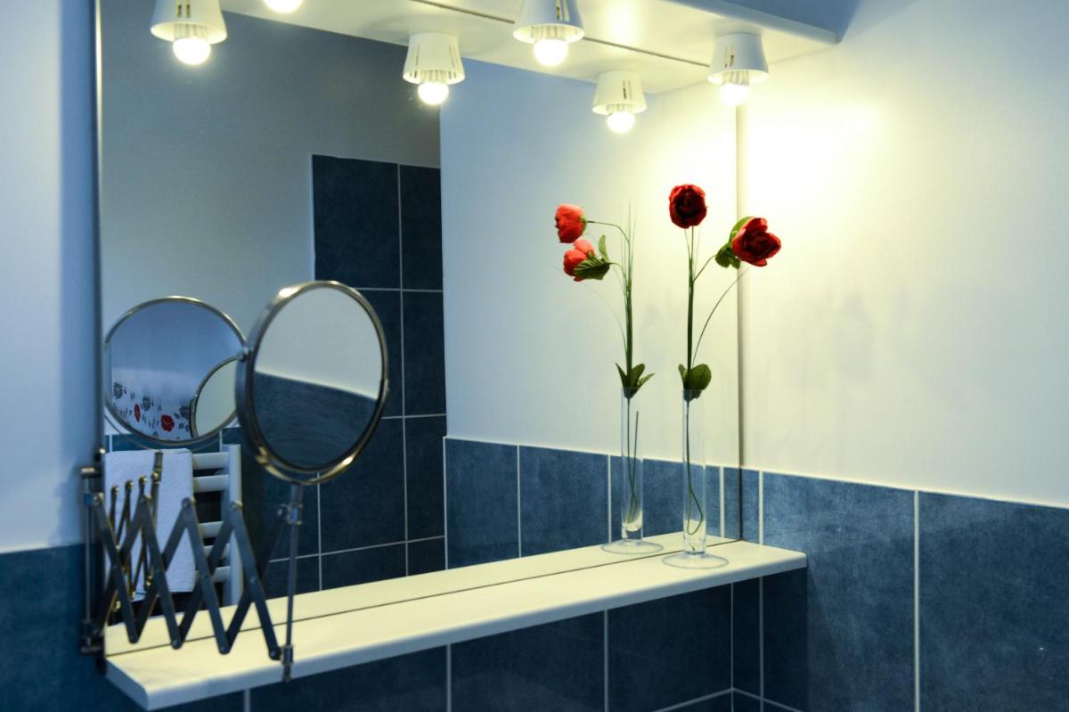 Salle de bains dans l'établissement Contact hôtel - Hôtel Les Bleuets & SPA