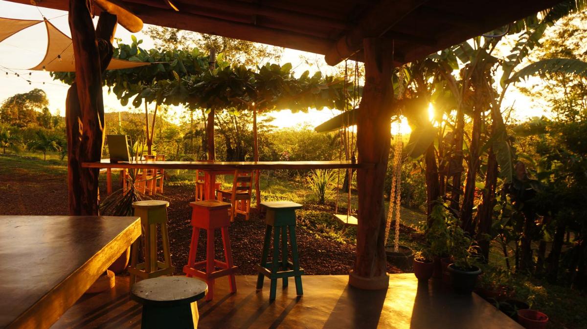 Alouatta Playa Coyote - Housity