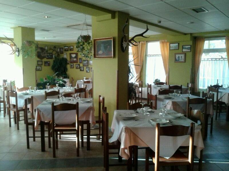 Hotel Narcea - Housity