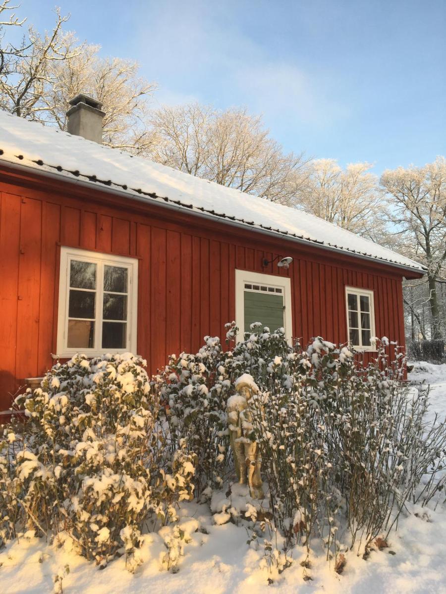 Dränghuset - Housity