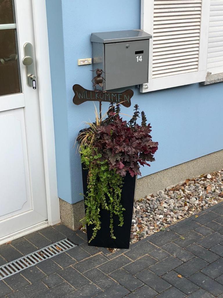 Ostsee-Ferienhaus Colonia, Biendorf-Wischuer - Housity
