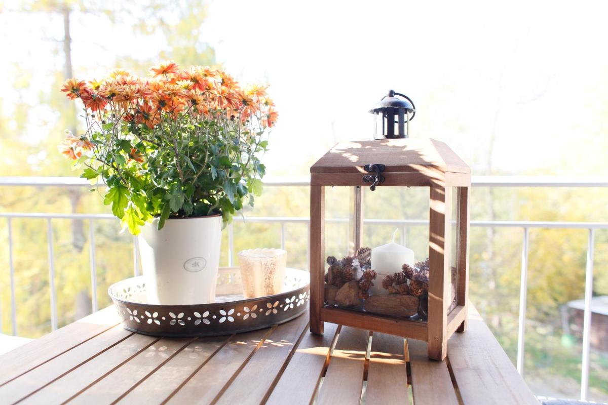 Lieblingswohnung im Elbtal - Housity