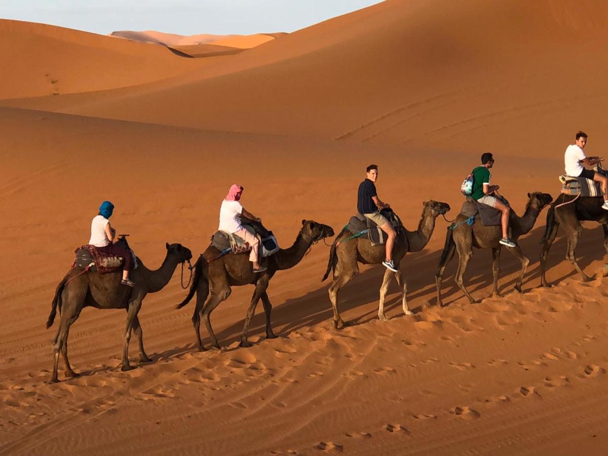 Sahara camel tours camp - Housity