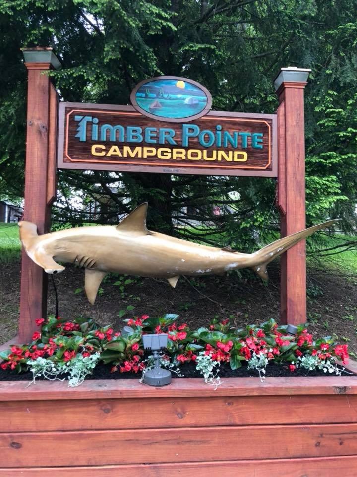 Timber Pointe Resort - Housity
