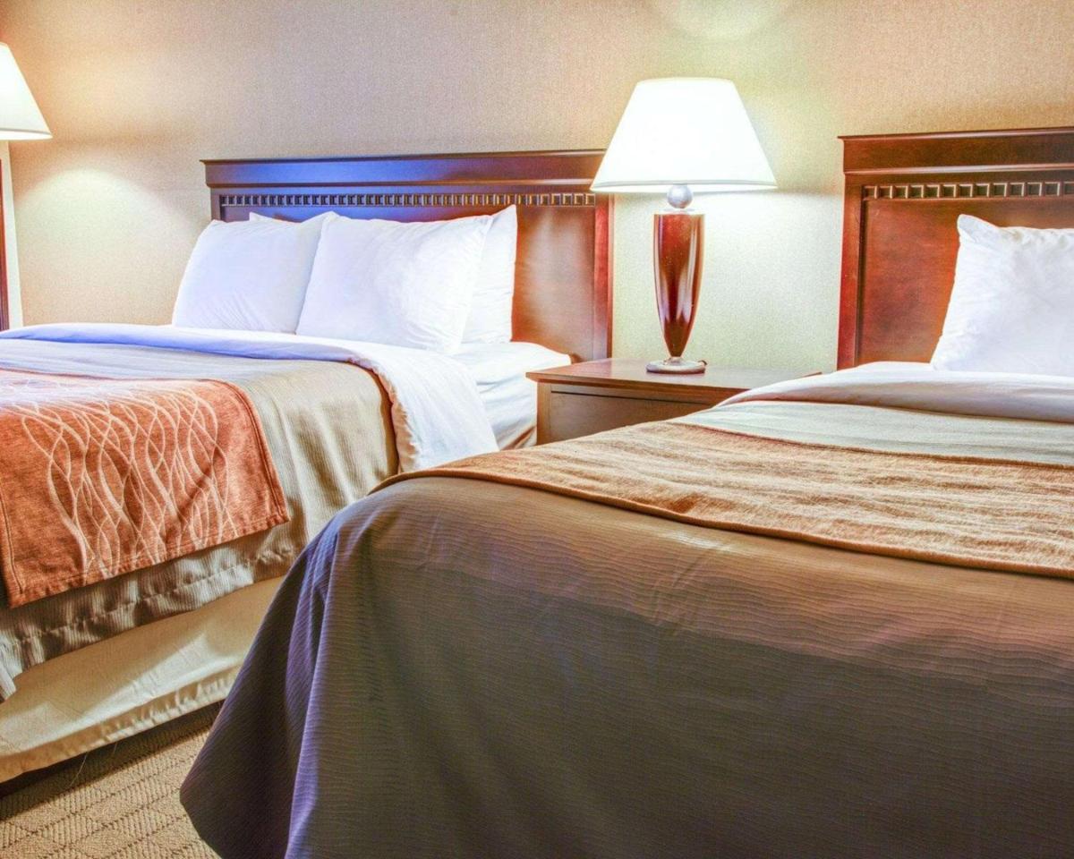 Quality Inn Florence - Housity