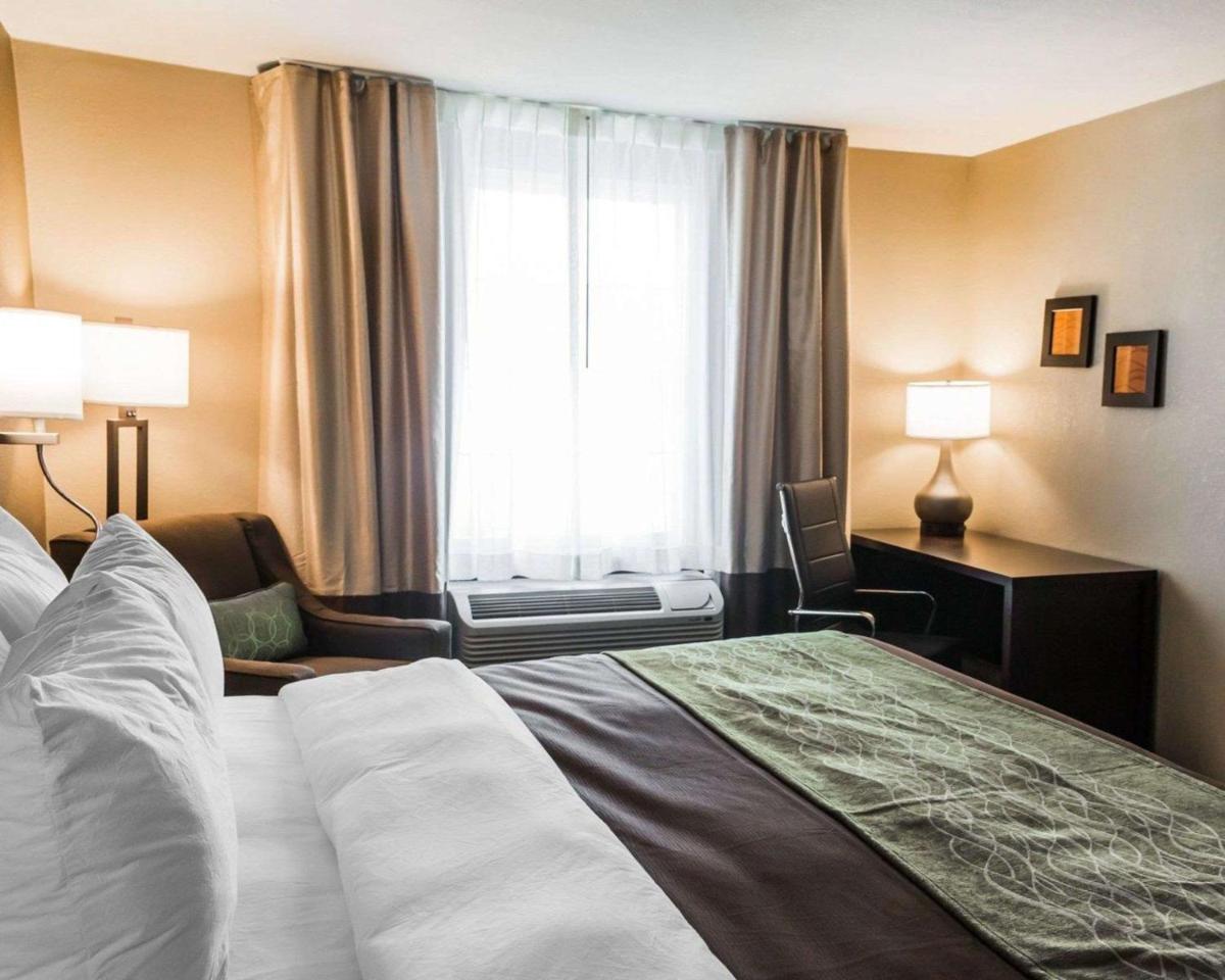Comfort Inn & Suites Pharr/McAllen - Housity