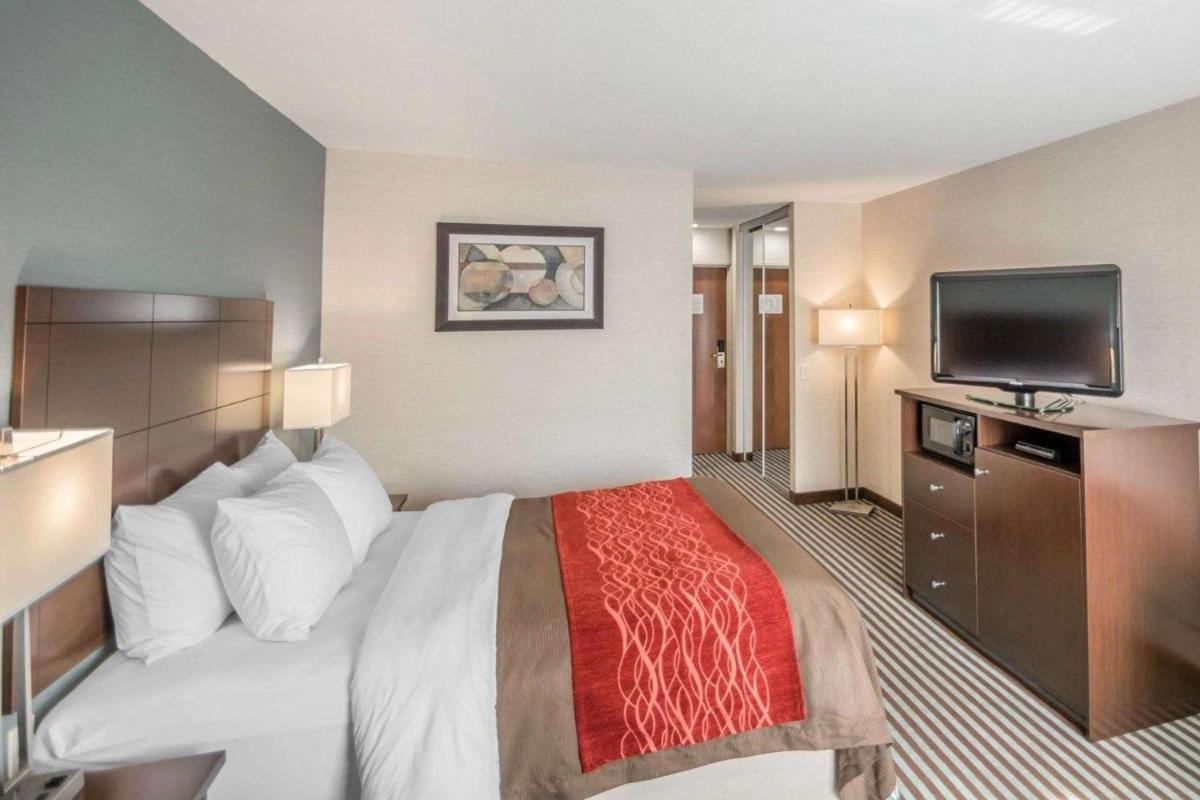 Quality Inn - Housity