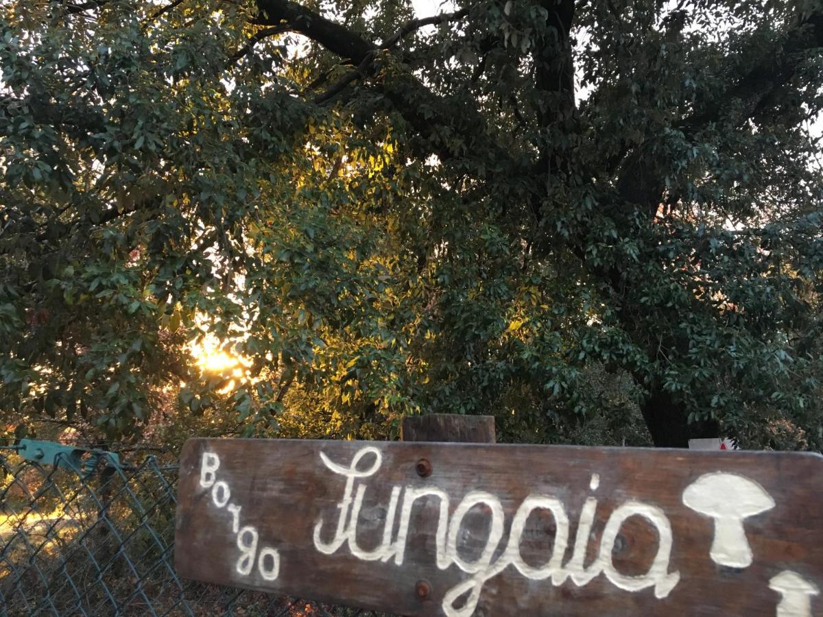 La Renzina - Housity