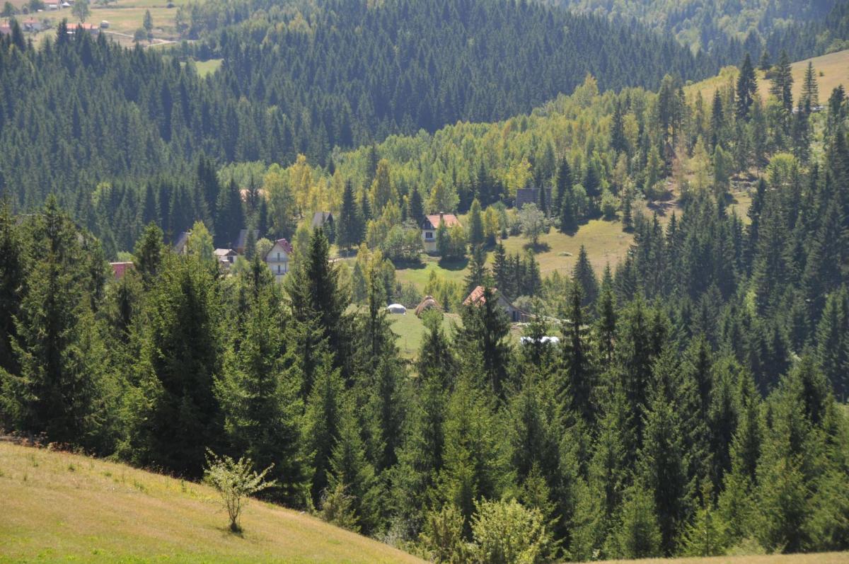 Vila Jelena Zlatar Nova varoš - Housity