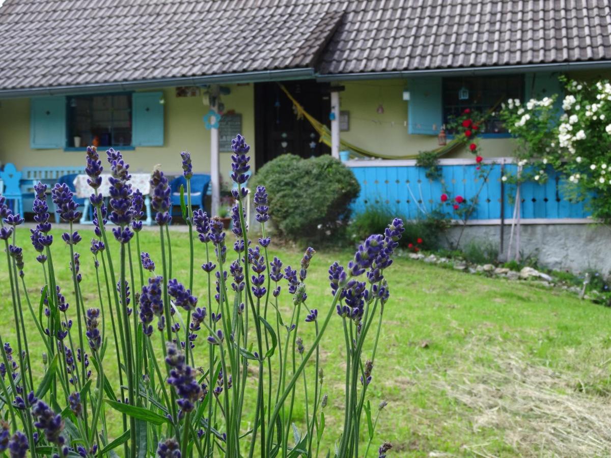 Blue Cottage - Housity