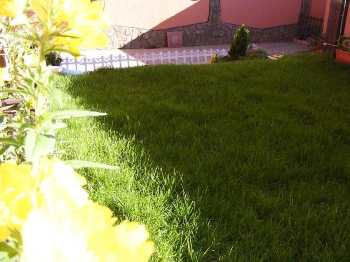 Red House Family Hotel - Housity