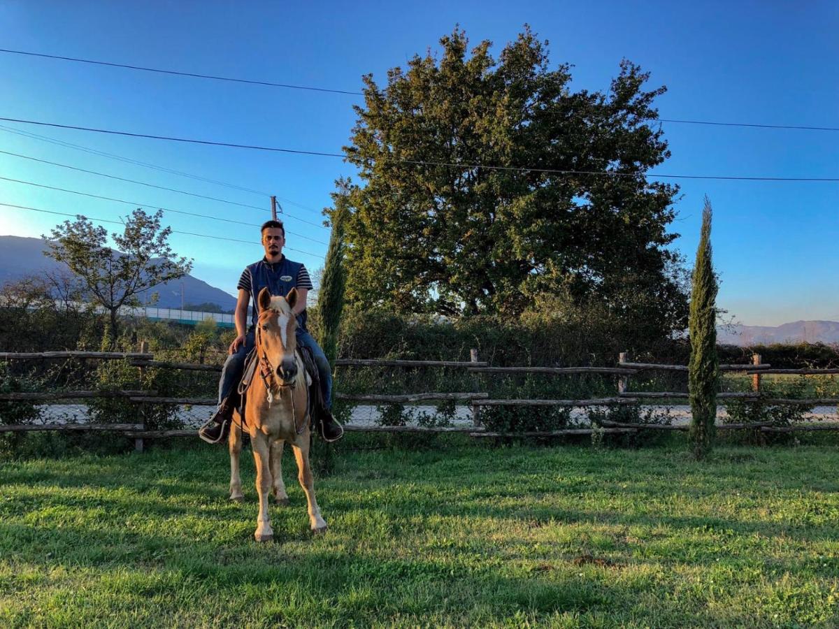 La Tenuta del Campo di Sopra - Housity