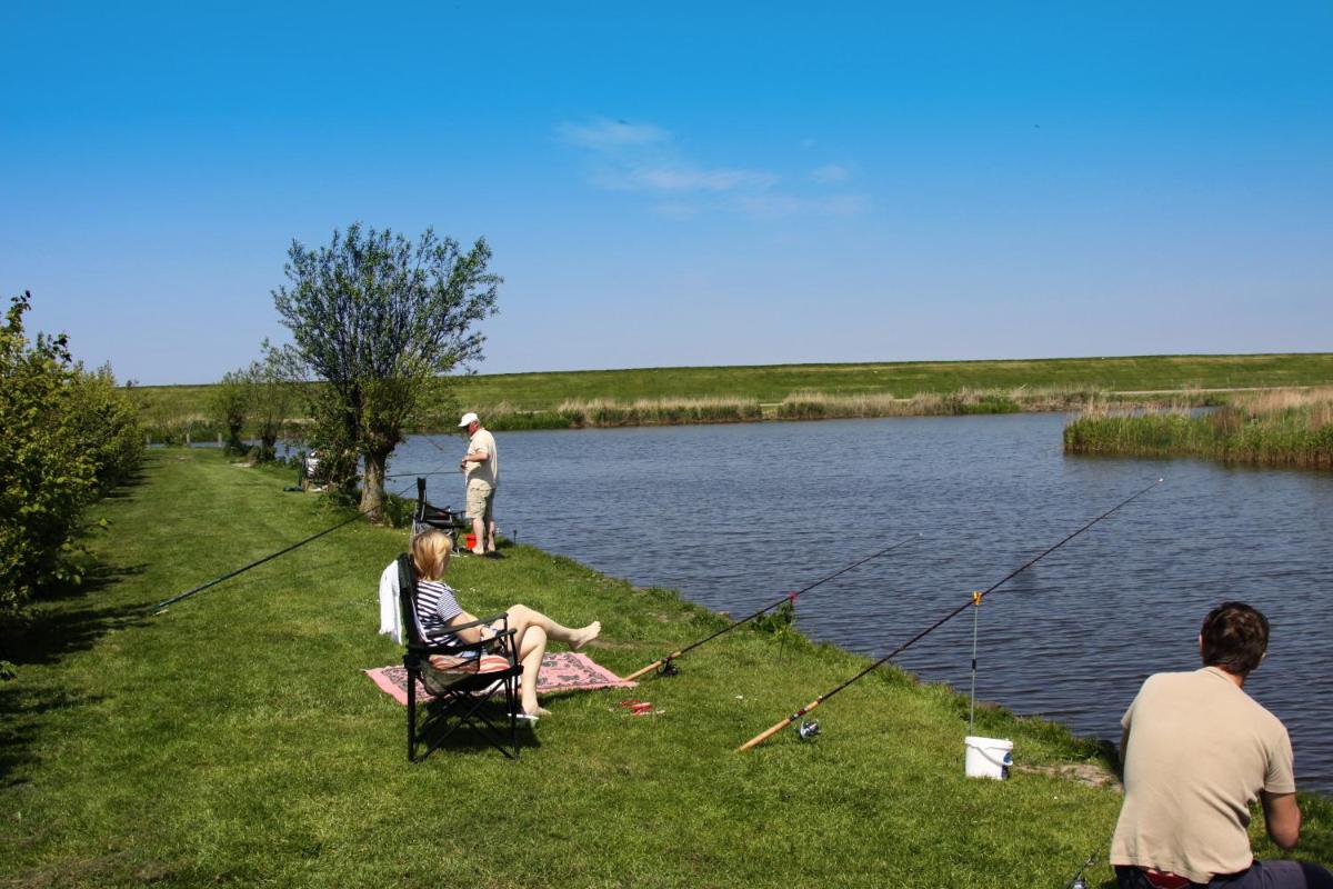 Friesland-cottage - Housity