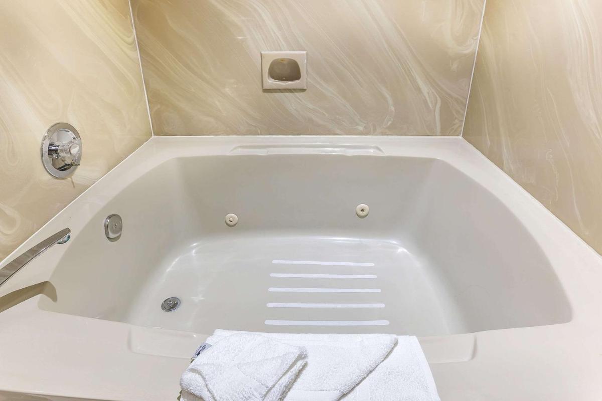 Quality Inn near Hearst Castle - Housity