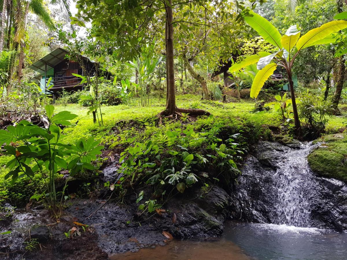 Sukia Hostel - Housity