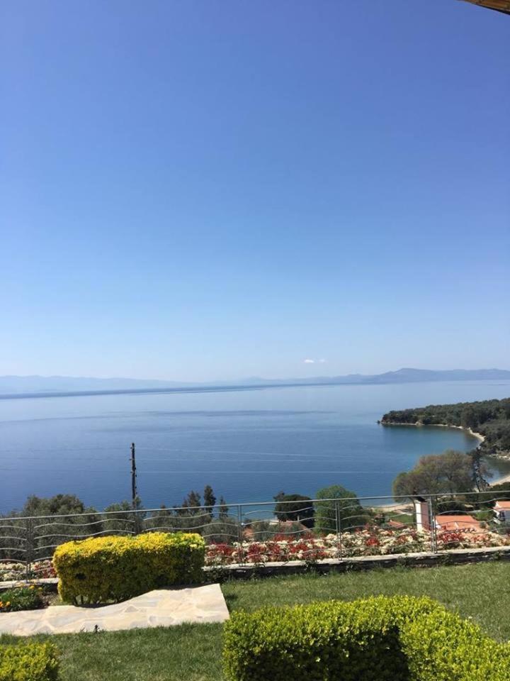 Olive Grove Villas - Housity