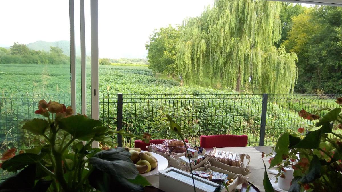 B&B La Via dell'Ambra - Housity