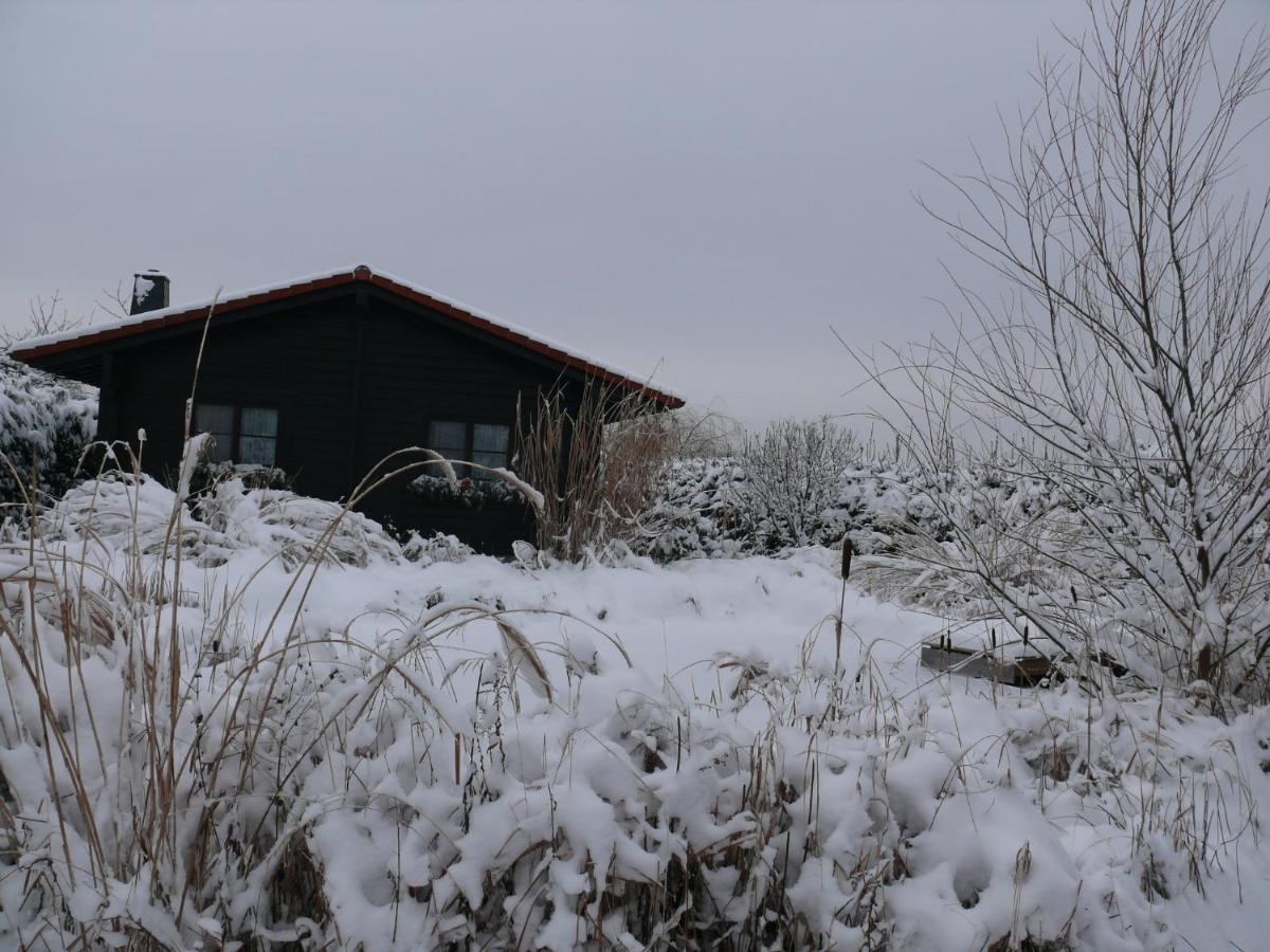 Ferienhaus Hohenlubast - Housity